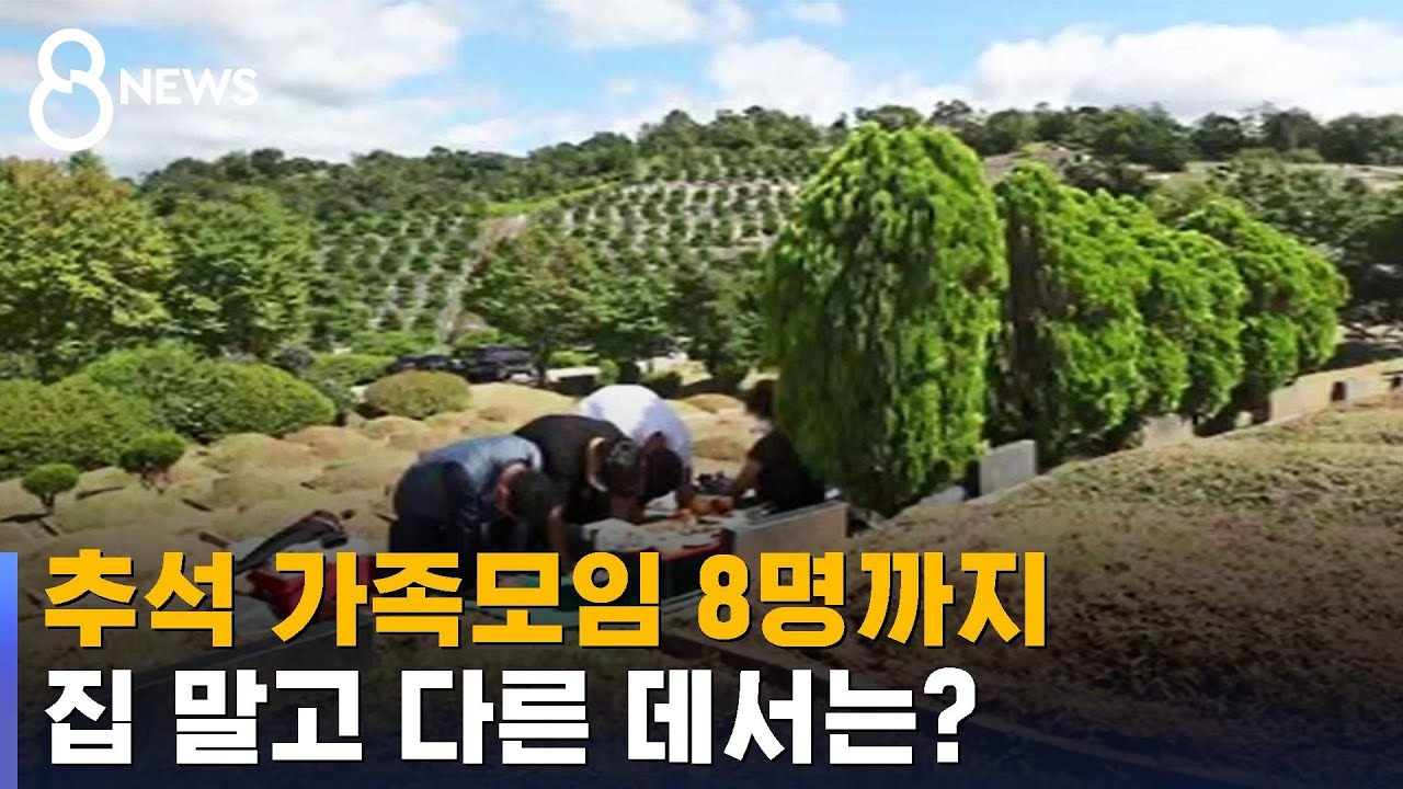추석 가족모임 8명&hellip;집은 되고 성묘&middot;외식 안 돼 / SBS