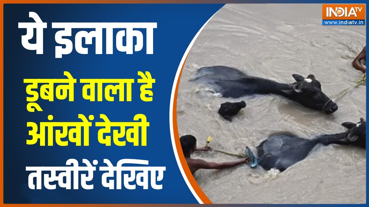 Delhi Flood: दिल्ली के बाढ़ की वो तस्वीरें..जो अबतक आपने नहीं देखी | Delhi Rains | India TV
