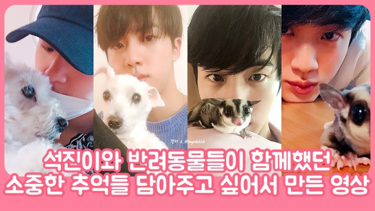 [ 방탄소년단 / BTS ] 석진이와 반려동물들이 함께 했던 소중한 추억들 담아주고 싶어서 만든 영상⭐️ 석진이 마음속에 항상 있을 짱구, 어묵이, 오뎅이, 국물이 🌈 너무 소중해