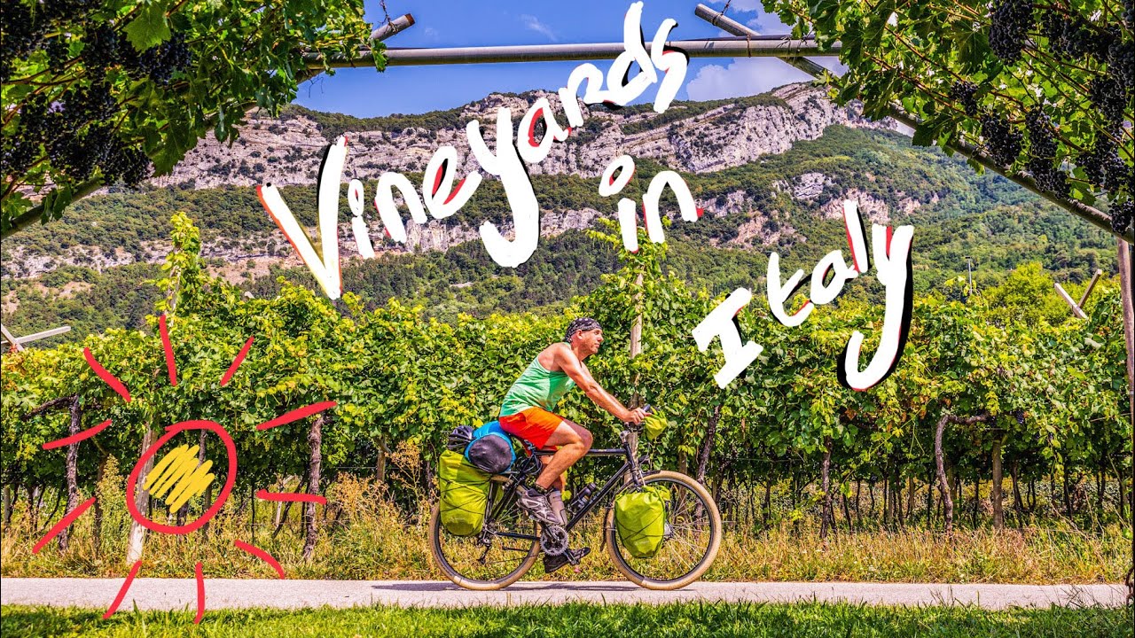 Cycling along river Adige: vineyards and apple trees, yum!! Sun Route Italy