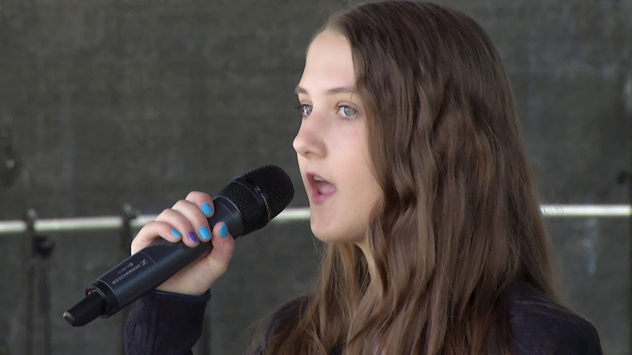 Alan Walker - Sing me to sleep (Cover by Klara Hožič)