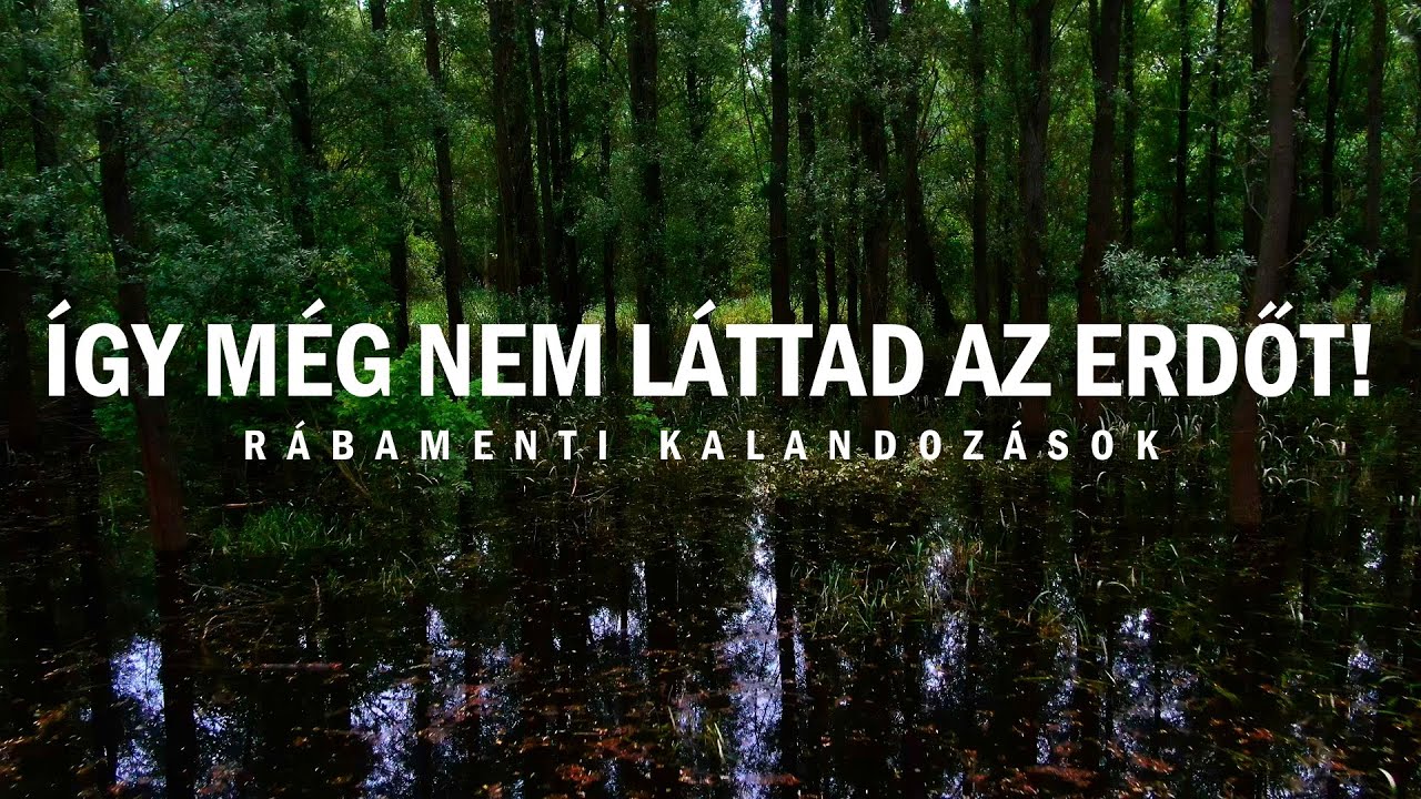 Amikor mindent elönt a víz, Rába áradás #kirándulás #túrázás