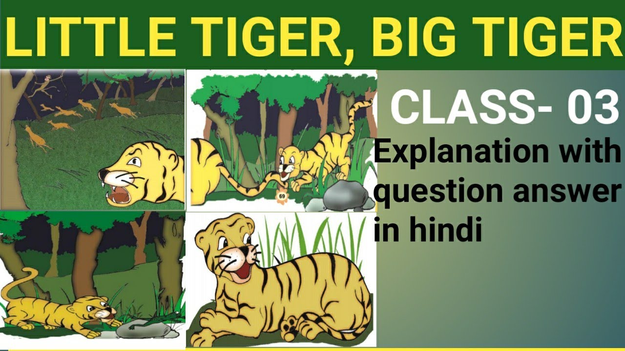 Little tiger big tiger ncert english class 3//class 3 Little tiger big tiger question answer