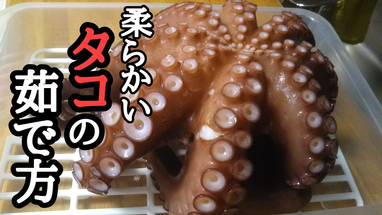 【タコ釣り】タコの美味しい茹で方  !!🐙プリップリ!!