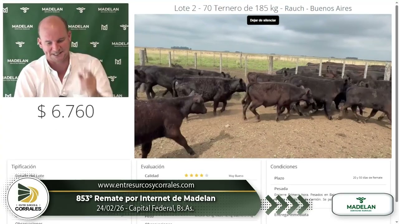 24-02-26 - 853º Remate por Internet de Madelan - Capital Federal, Bs.As.