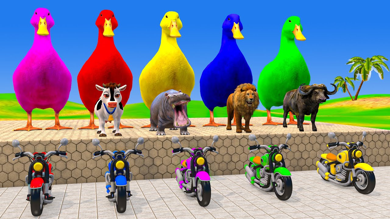 Long Slide Game With Cow Elephant Gorilla Hippopotamus Tiger - 3d Animal Game - Funny 3d Animals