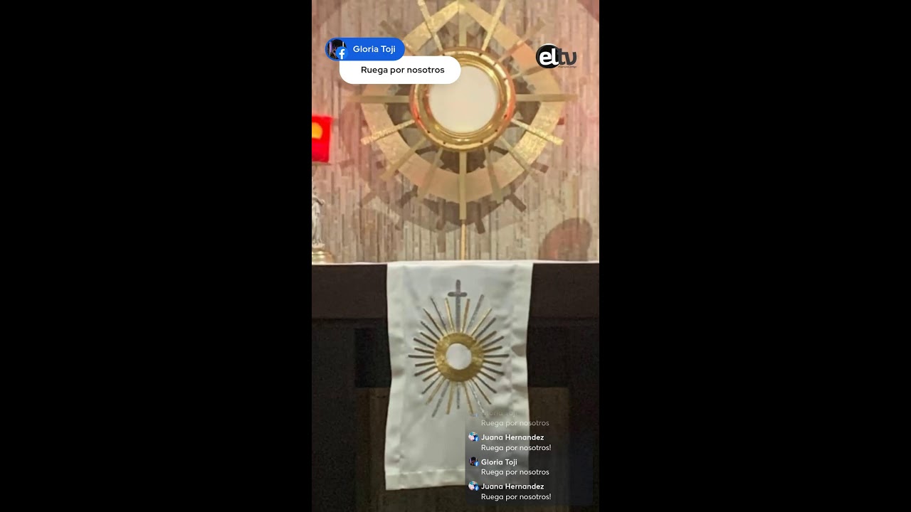 SANTO ROSARIO Misterios Dolorosos 📱