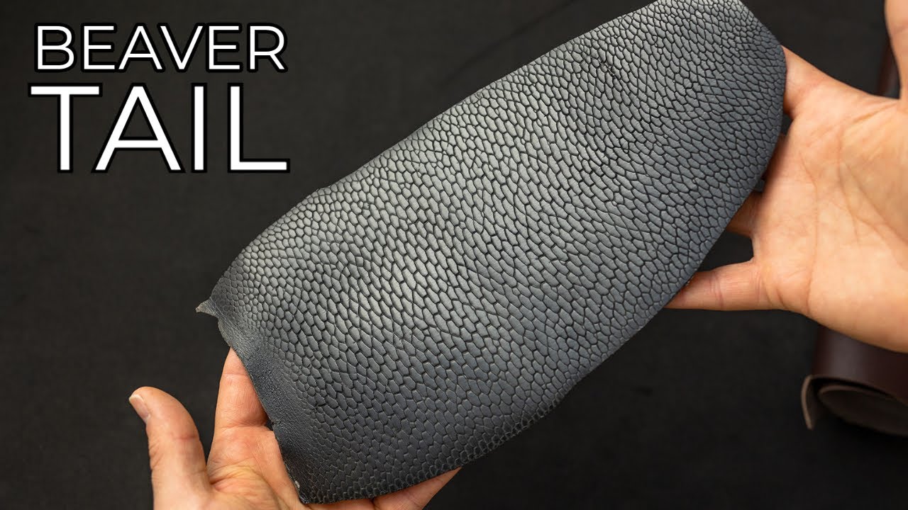 Beaver Tail + Color 8 Dublin Leather
