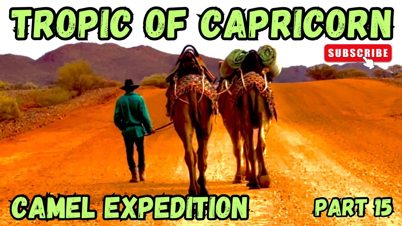 Camel expedition. Part 15. Tropic of Capricorn.