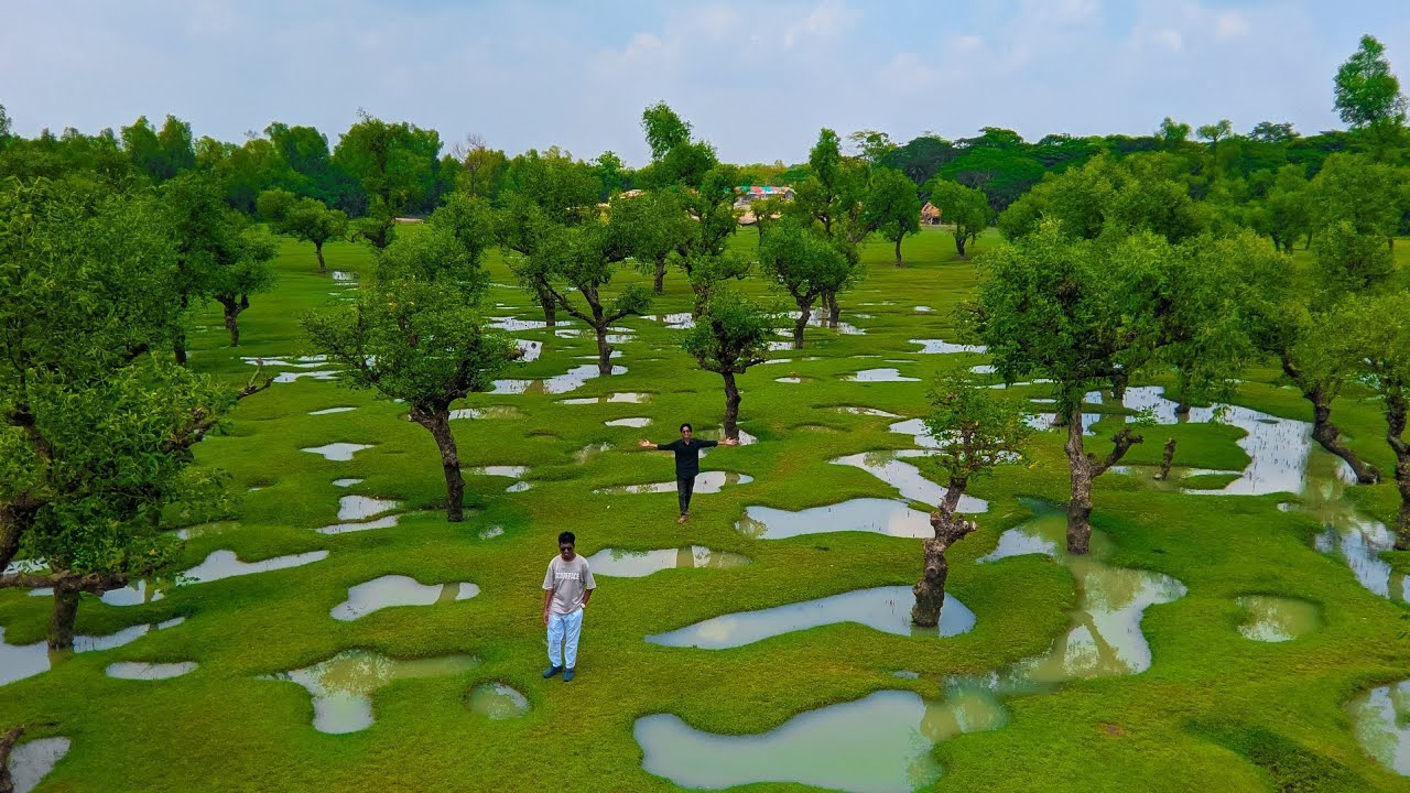 নিদ্রার চর— তালতলী বরগুনা