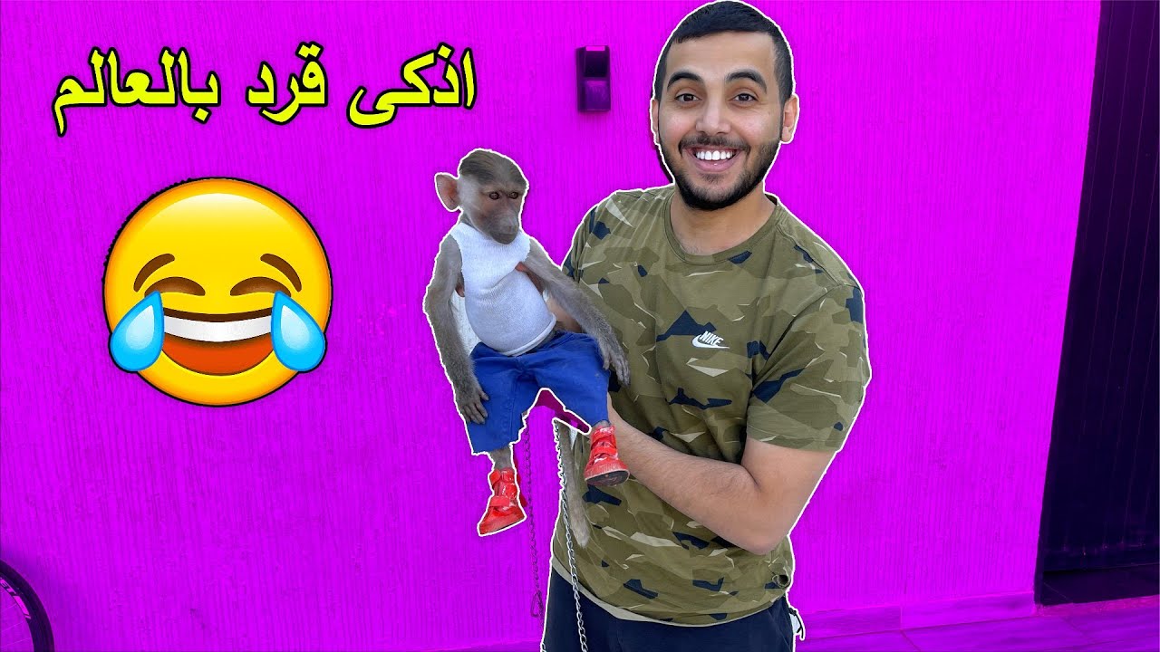 شرينا اذكى قرد بالعالم 🐵 | (حبيبتي نوني بكت منه😭)