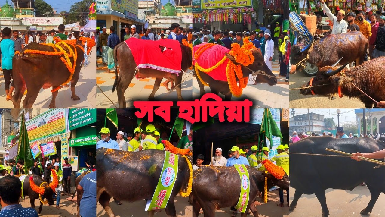 ৯মাঘের সব হাদিয়া একসাথে । মহান ১০ই মাঘ ওরশ শরীফ