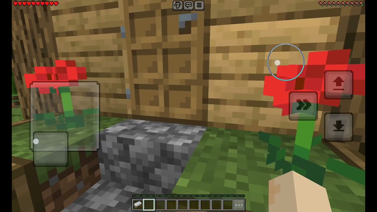 Minecraft oynuyoruz 