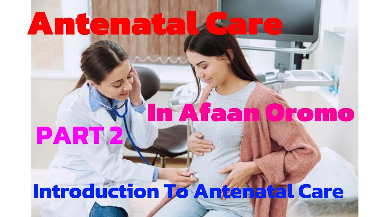 Introduction To Antenatal Care By Afaan Oromo; PART 2