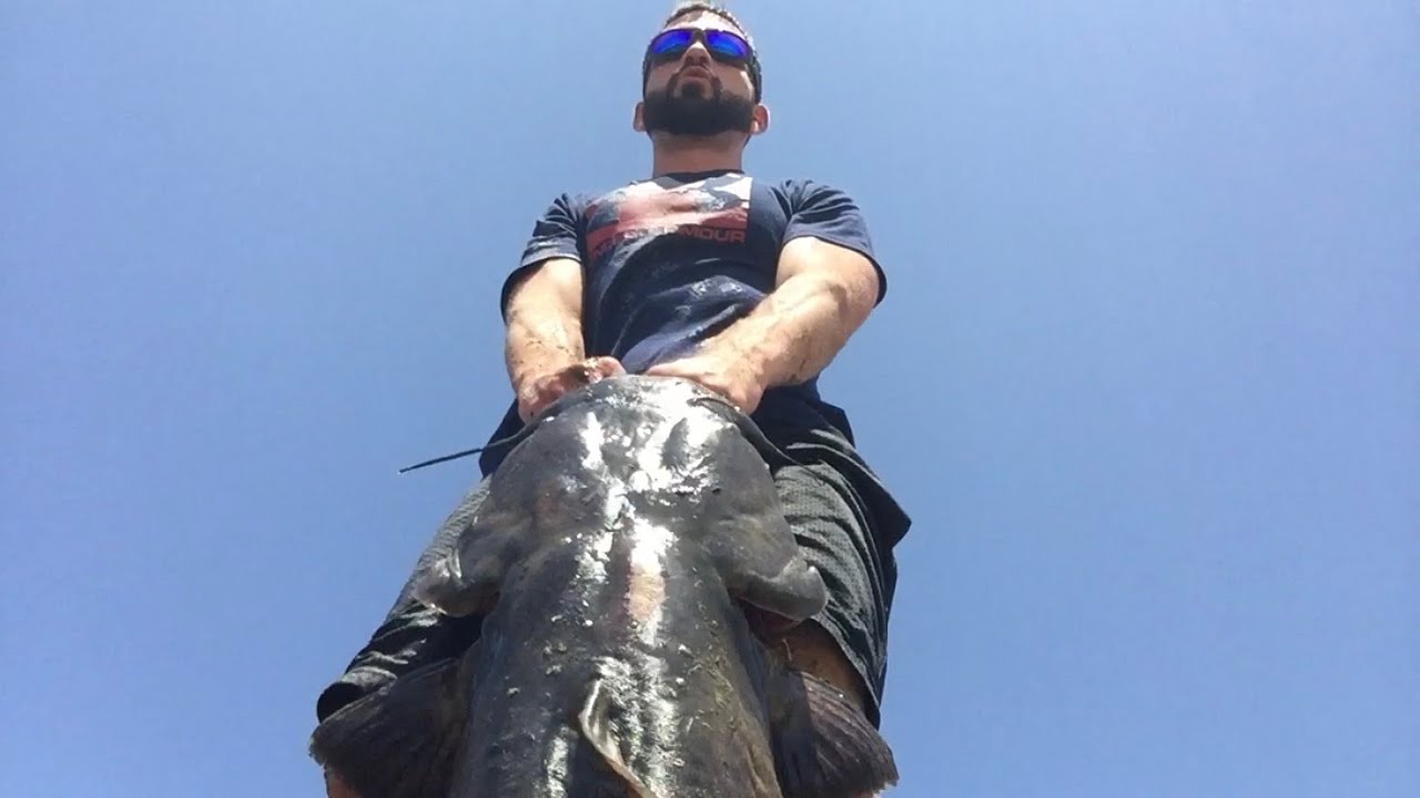 The Arkansas River is FULL of MONSTER Fish!!!