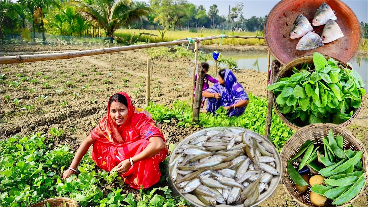 ইলিশ মাছের মাথা দিয়ে পালং শাকের ঘন্ট, মৌরলা মাছের ঝাল আর সিম ভাজা রান্না সাথে খাওয়া দাওয়া