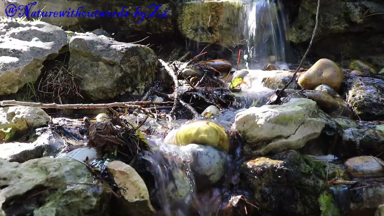 Relaxing Piano music - Soothing relaxation with natural light sound of stream and with calming music