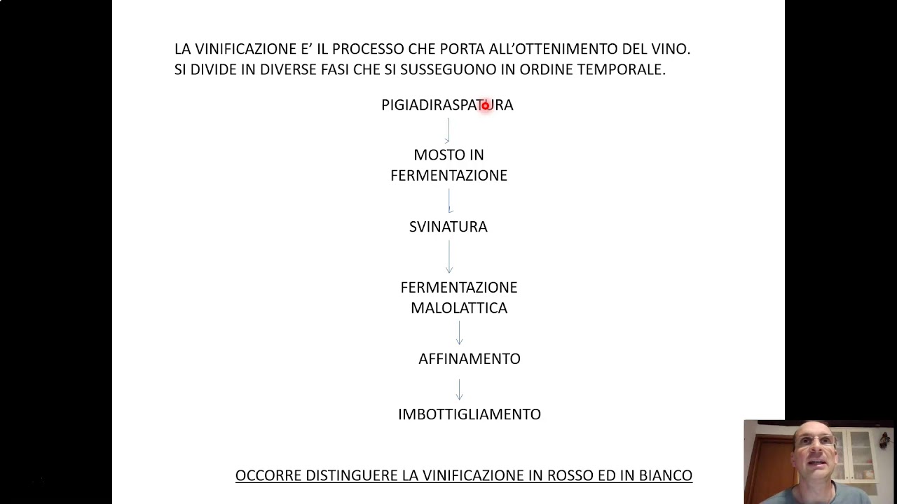 La vinificazione - Prima parte