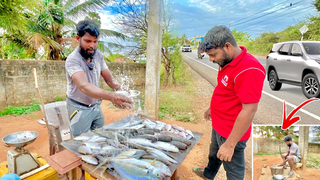 கடை சின்னன் தான் ஆனால் மீன்கள் ரொம்ப பெரிசா இருக்கே | WOW Small Street Fish Shop