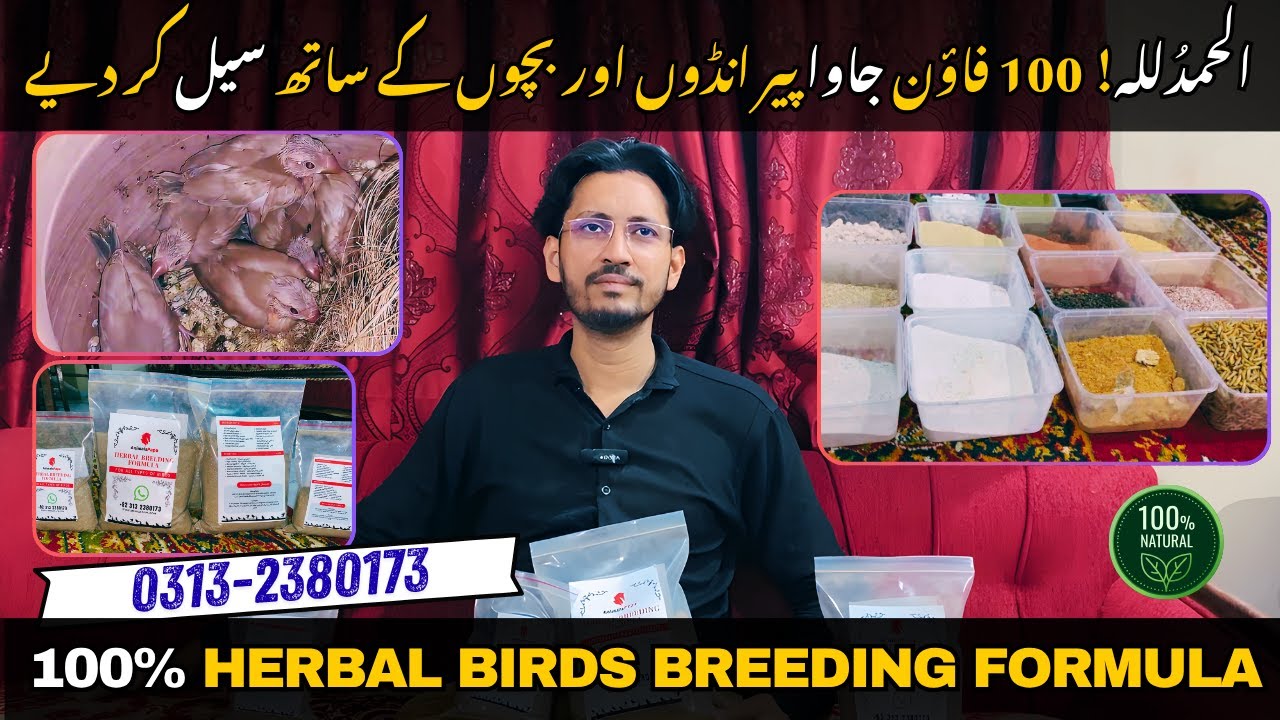 IMRAN BHAI Pure organic 100% Herbal Birds Breeding Formula | Easy Step-by-Step