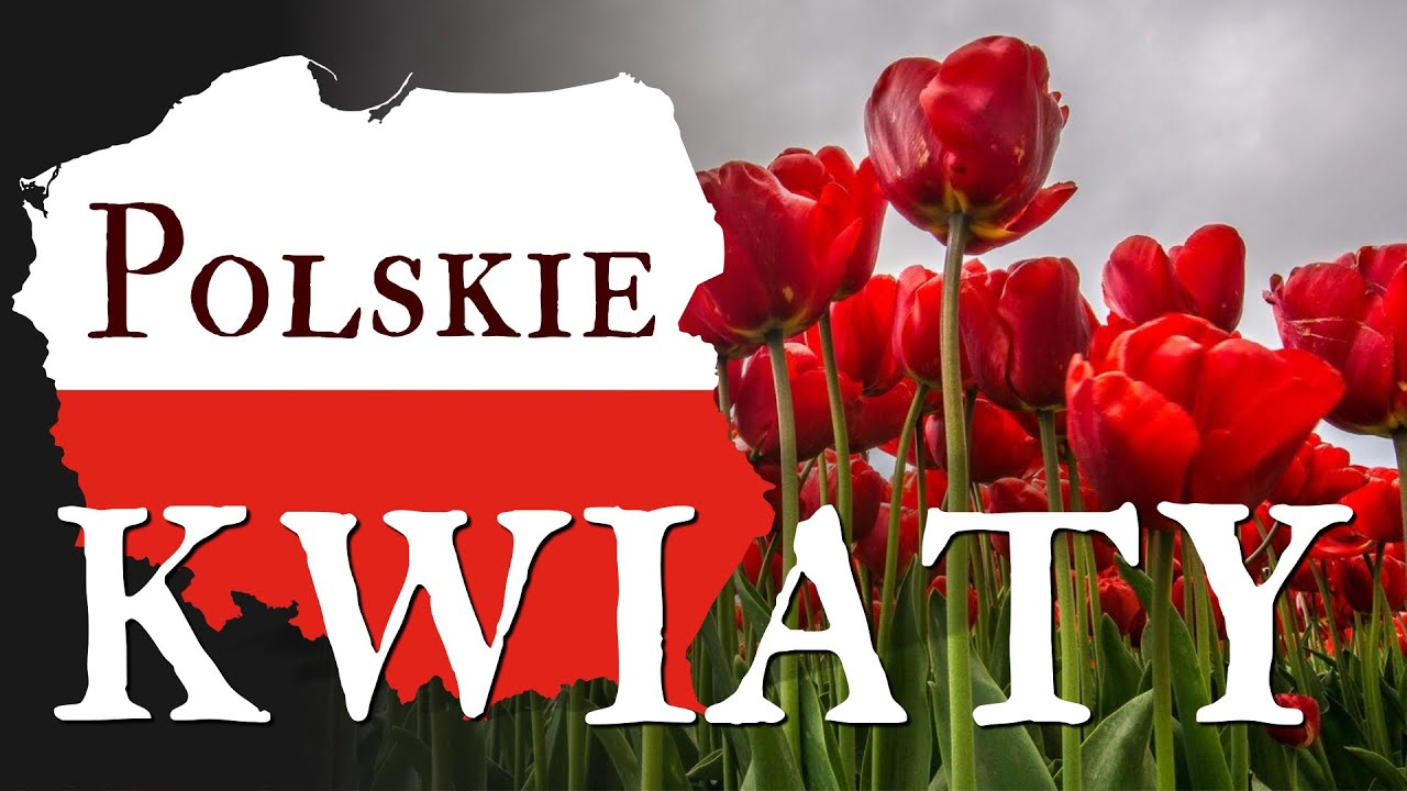 Polskie kwiaty - Joanna Biernat - Piosenki patriotyczne - Podkład Jangok