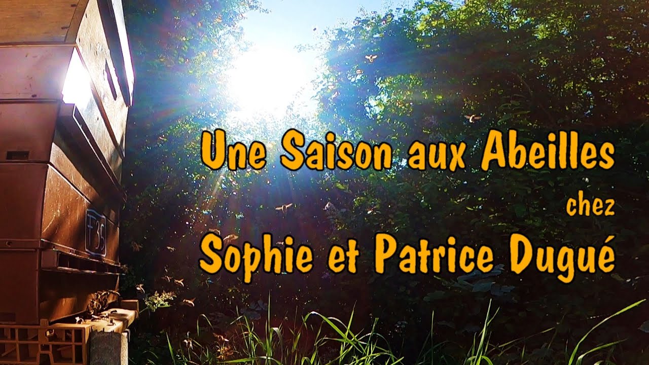Une Saison aux Abeilles-S04 E27- Chez Sophie et Patrice DUGUÉ