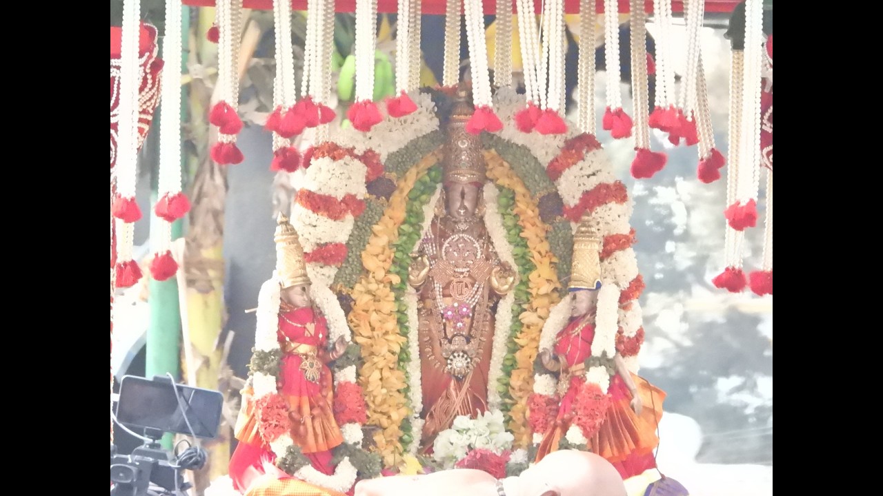 LIVE : தீர்த்தவாரி காஞ்சி காமாட்சி அம்மன் கோவில் பிரம்மோற்சவம் 2026 நேரலை@RR tv