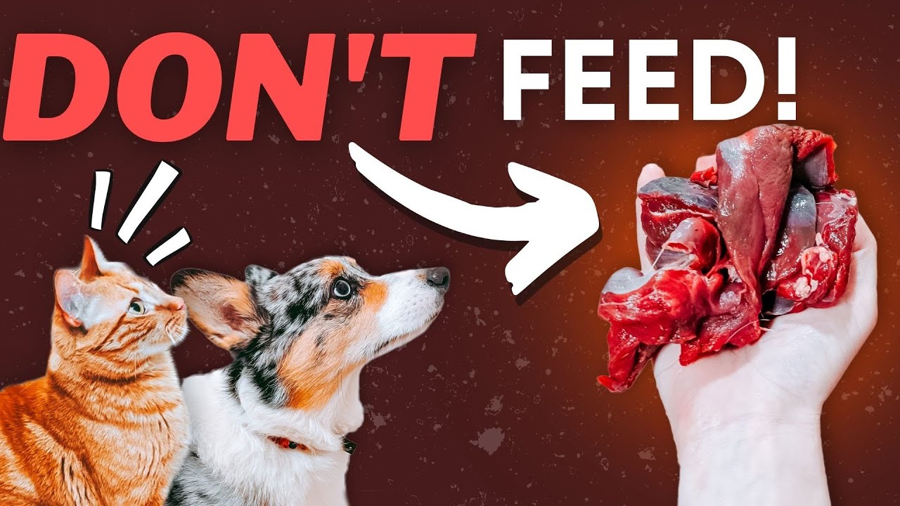 Meat You Shouldn't Feed Your Raw Fed Pet