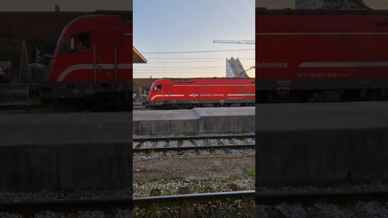 SŽ 541 hauling fuel tanks - Ljubljana Early 29.6.2024 #slovenia #train #trainspotting