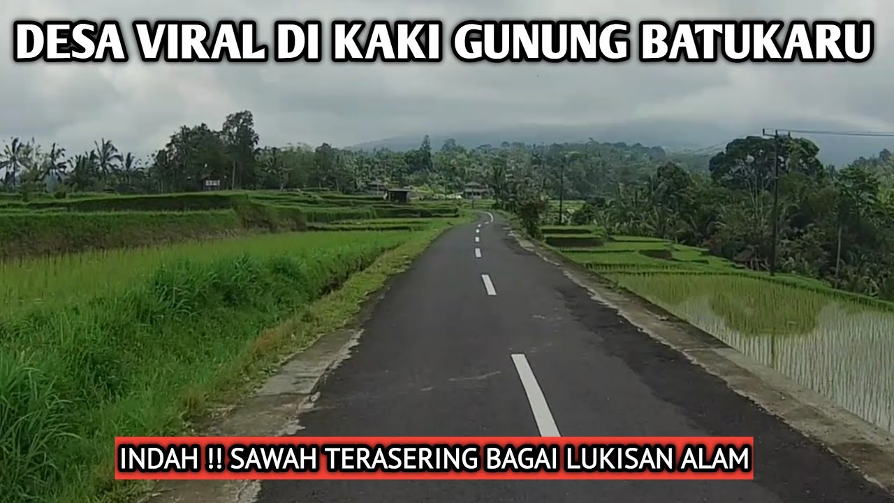 DESA  DI PEGUNUNGAN BATUKARU YANG VIRAL DENGAN SAWAH TERASERING. TELUSUR DESA PELOSOK BALI. 