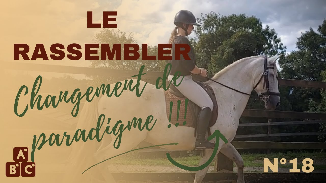 ⭐ Le rassembler selon &Eacute;tienne Beudant ⭐