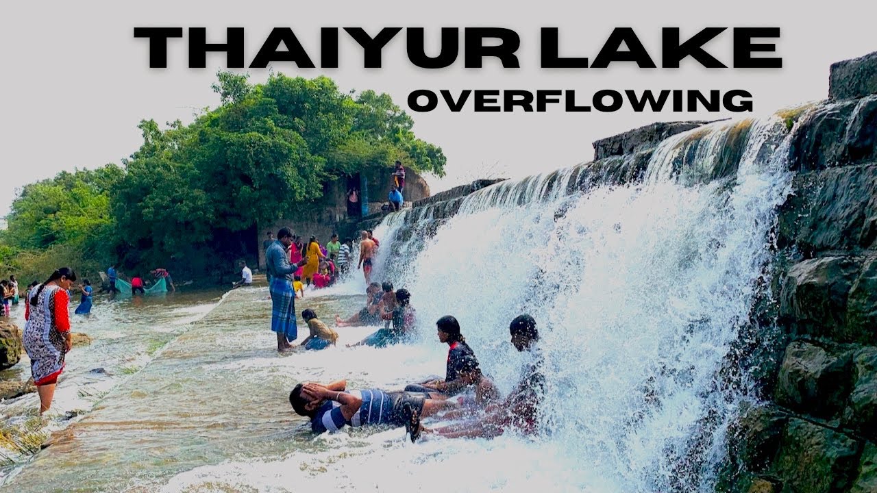Thaiyur lake over flow | near Kelambakkam | mini water falls |@caymanvlogs #lake