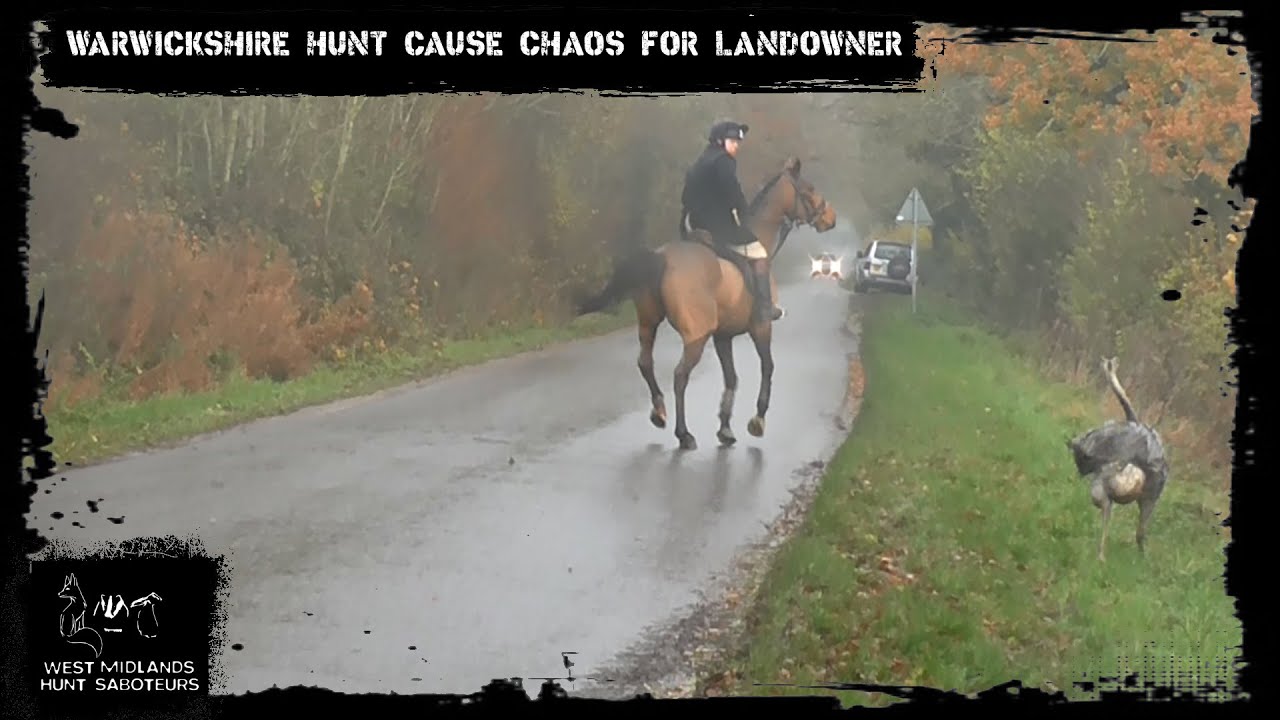 Warwickshire Hunt cause chaos for landowner