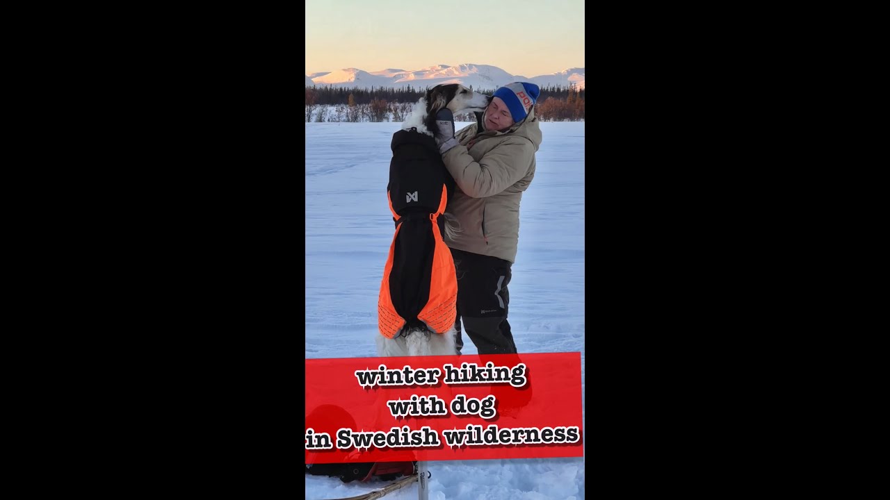 winter hiking with Dog in the Swedish wilderness