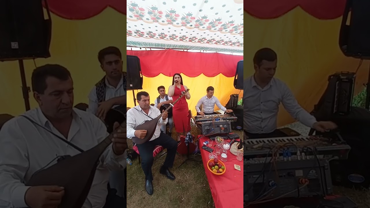 Zabil Gedebeyli ve Medine Semkirli (gel ozunle apar meni)