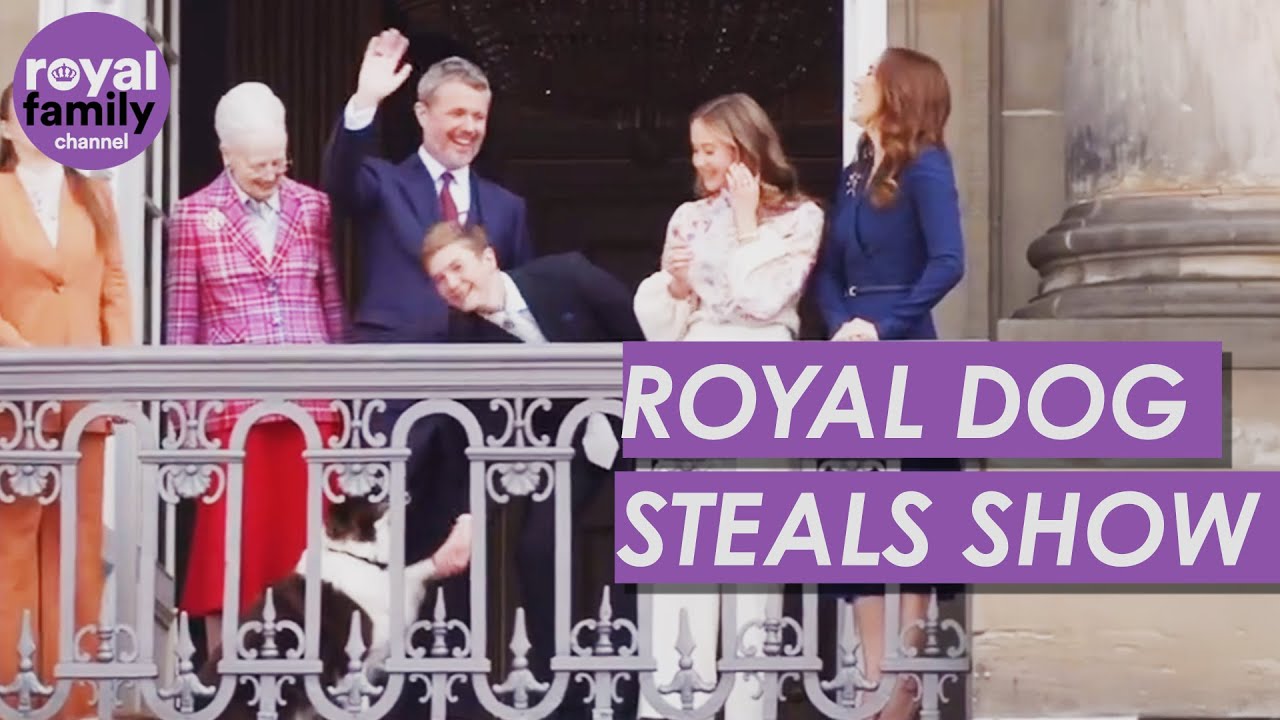 Danish Royal Dog Steals the Show During Balcony Appearance