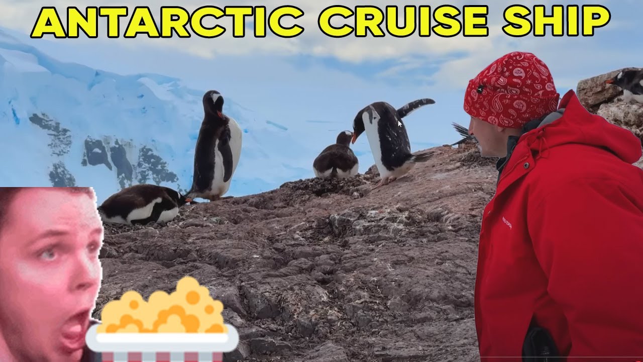 Antarctic Cruise | Bulldog Reacts to Best Ever Food Review Show