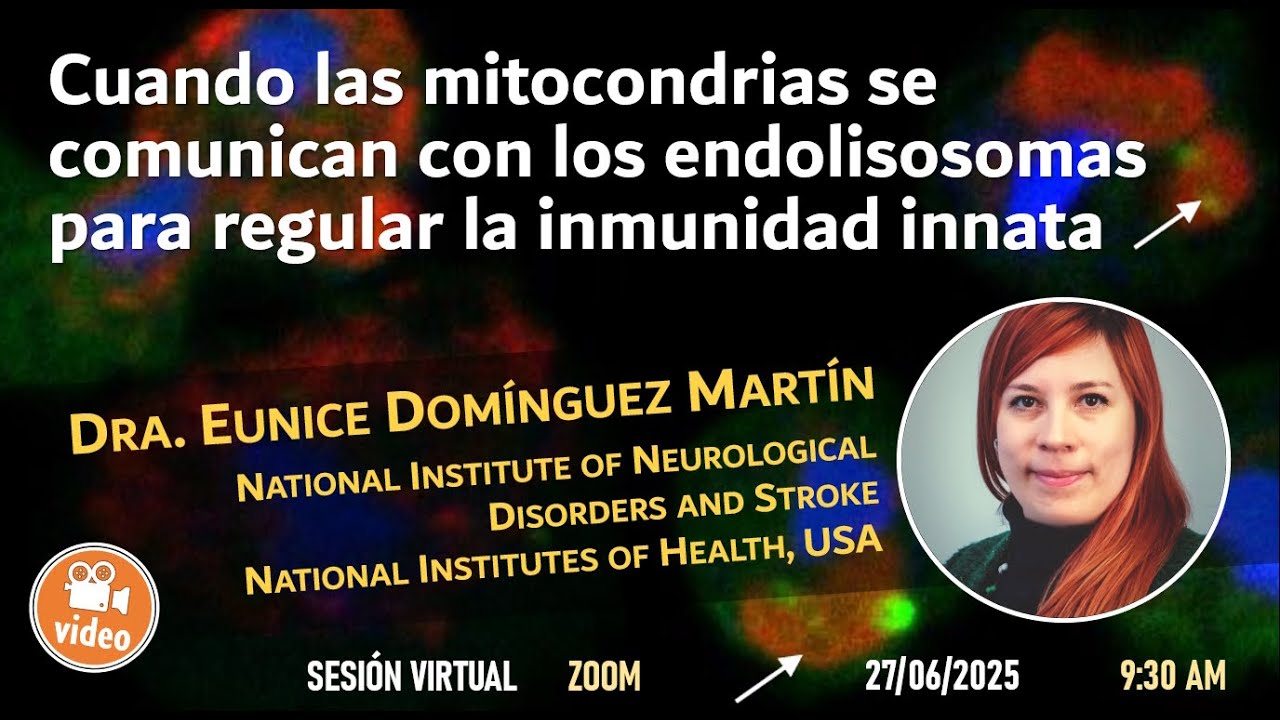 Cuando las mitocondrias se comunican con los endolisosomas para regular la inmunidad innata