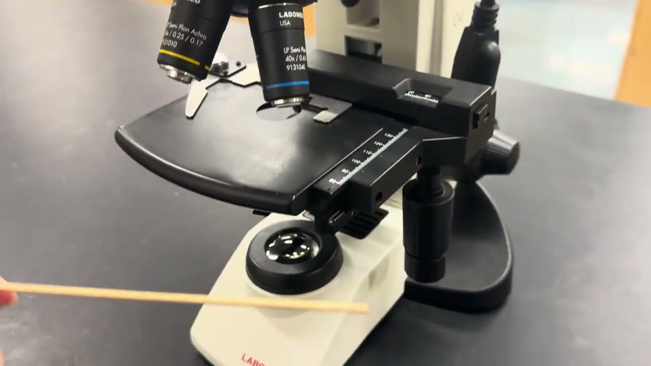 BIO231C Microscope Lab