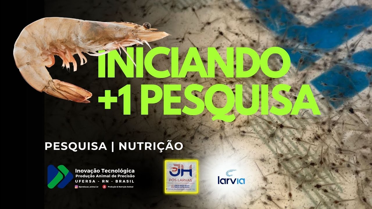 Iniciando mais uma pesquisa com Nutrição de Camarões vannamei