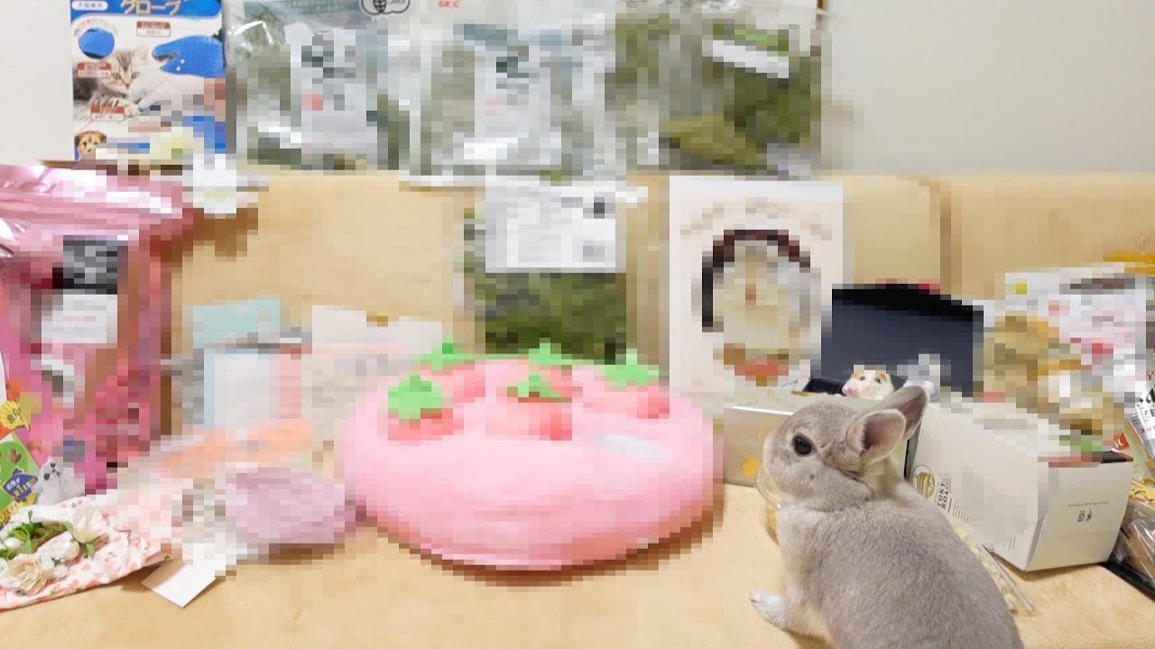 過去一の量の視聴者さんからの贈り物を開封したら、中身がやっぱりすごかった…【うさぎさんの誕生日】