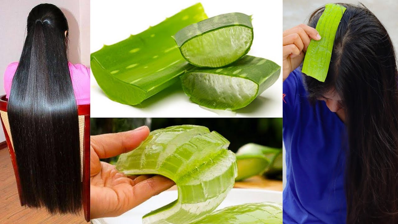 सुबह बाल धोने से पहले AloeVera इस तरह लगालो बाल इतने लंबे,सिल्की और शाइनी होजाएंगे Hair Regrowth