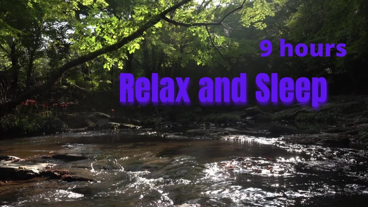 Relax and Sleep to this Peaceful Stream with Nature sounds! 9hr Sleepscreen