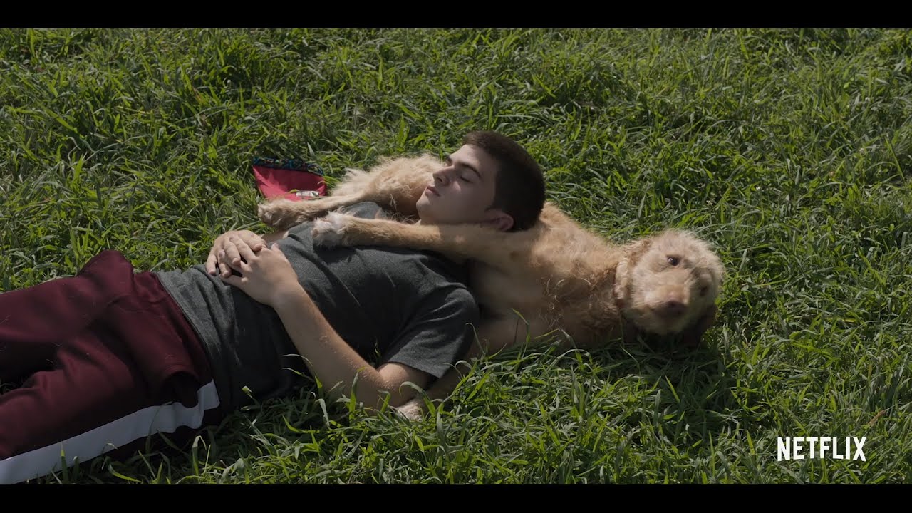 Tr&aacute;iler de 'Diecisiete', el regreso de S&aacute;nchez Ar&eacute;valo