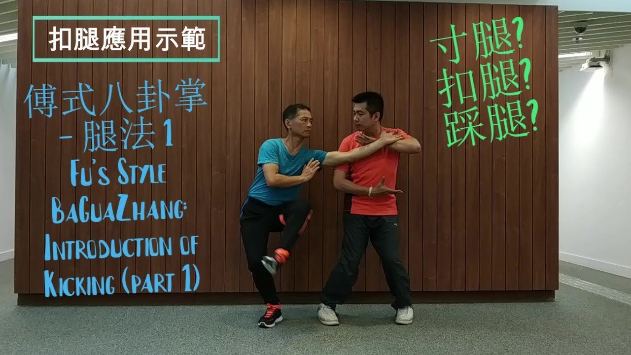 Fu's Style BaGuaZhang: Introduction of Kicking (part 1) 傅式八卦掌介紹 - 腿法 1