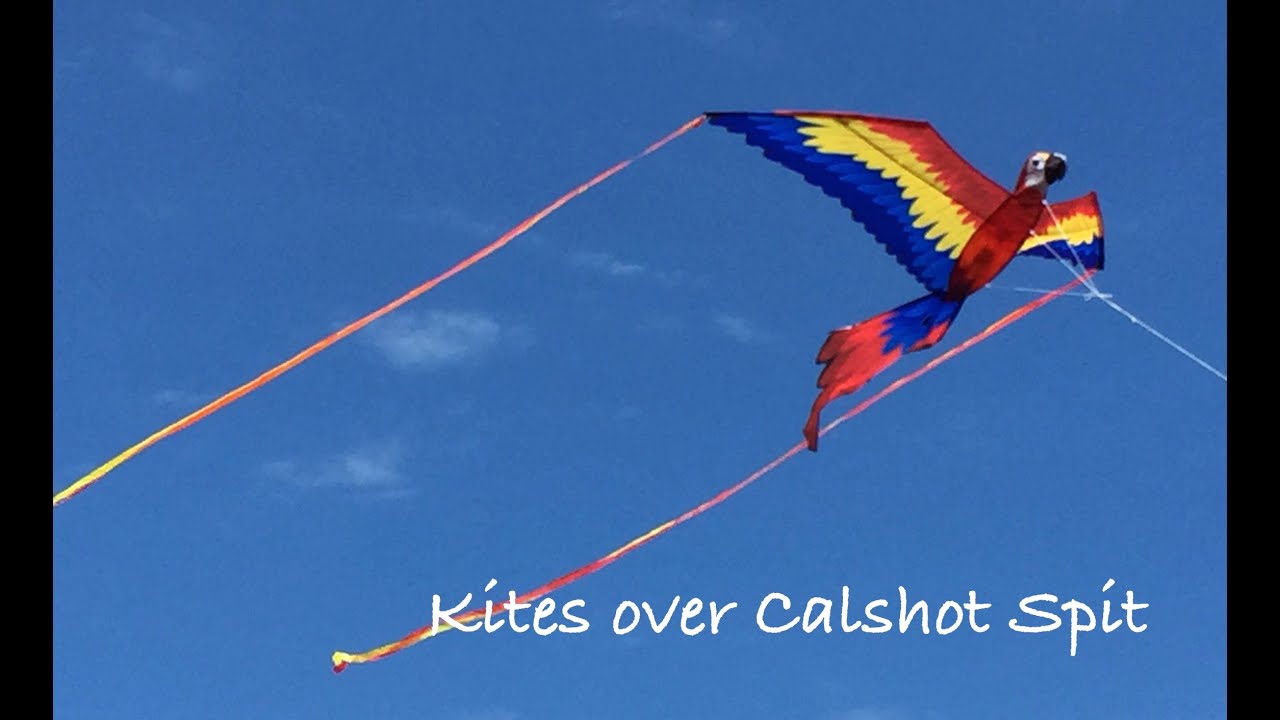 A good breeze at Calshot Spit