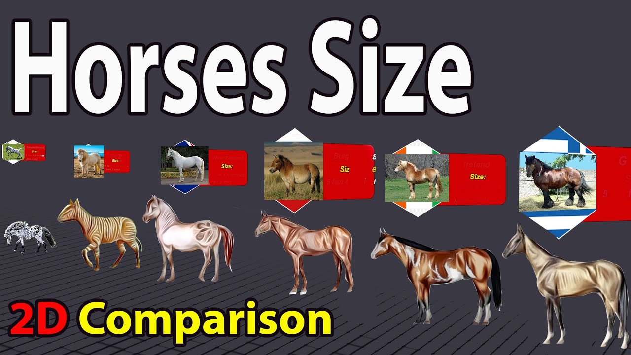Horses Size Comparison Living Vs Extinct in 2023