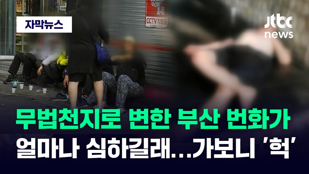 [자막뉴스] 