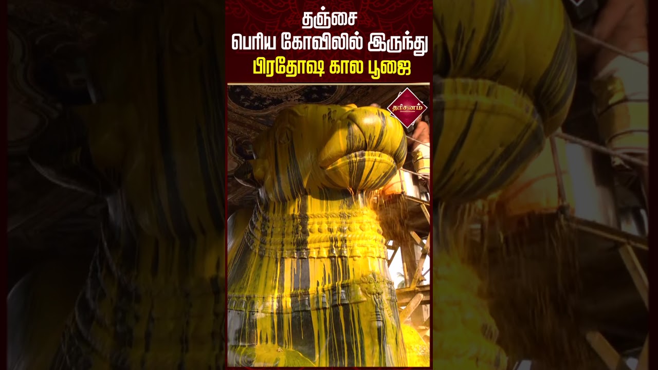 தஞ்சை பெரிய கோயிலில் இருந்து 