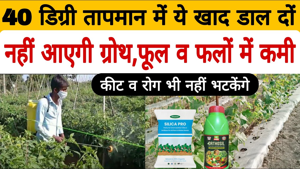 भयंकर गर्मी से फसलों को बचाने वाल खाद | save crop from high temperature |